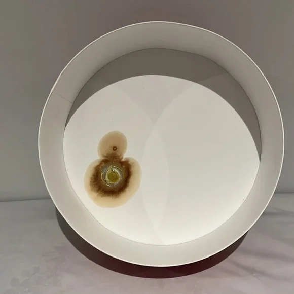 Nina Ricci Paper Parfum Round Box - Picture 11 of 13